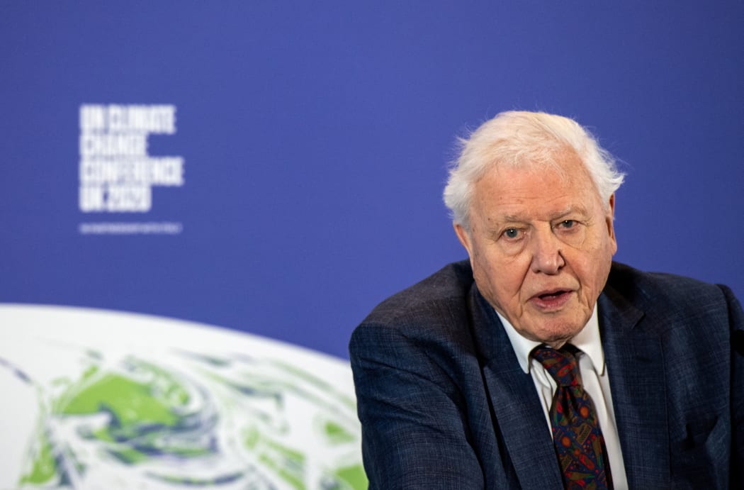 Sir David Attenborough named COP26 People's Advocate ahead of key climate  summit | RNZ News