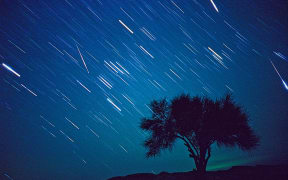 A 15 minute exposure captures the Leonid meteor shower in Kavir desert National Park, Iran in November 1999.