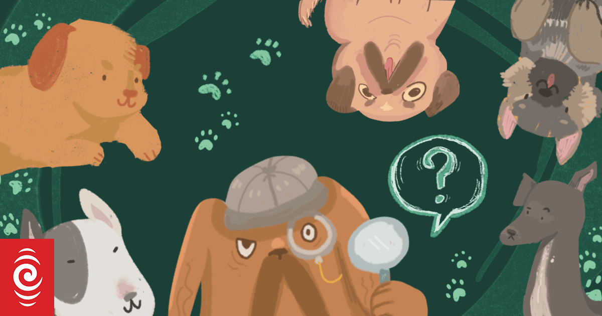 Why New Zealand breeders are importing dog semen RNZ