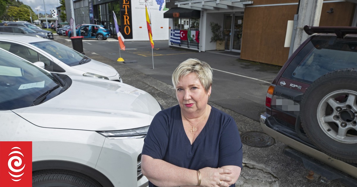Paid parking plans delayed in Tauranga after public outcry - Vimarsana News