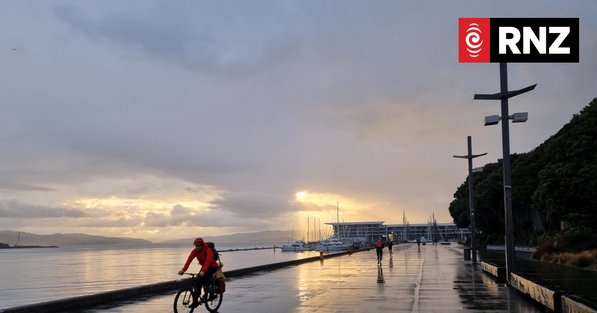 'Missing link' in Wellington cycleways divides factions - Vimarsana News