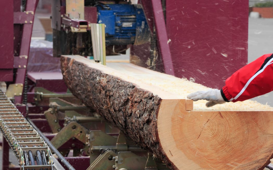 timber Sawing boards from logs with circular sawmill.