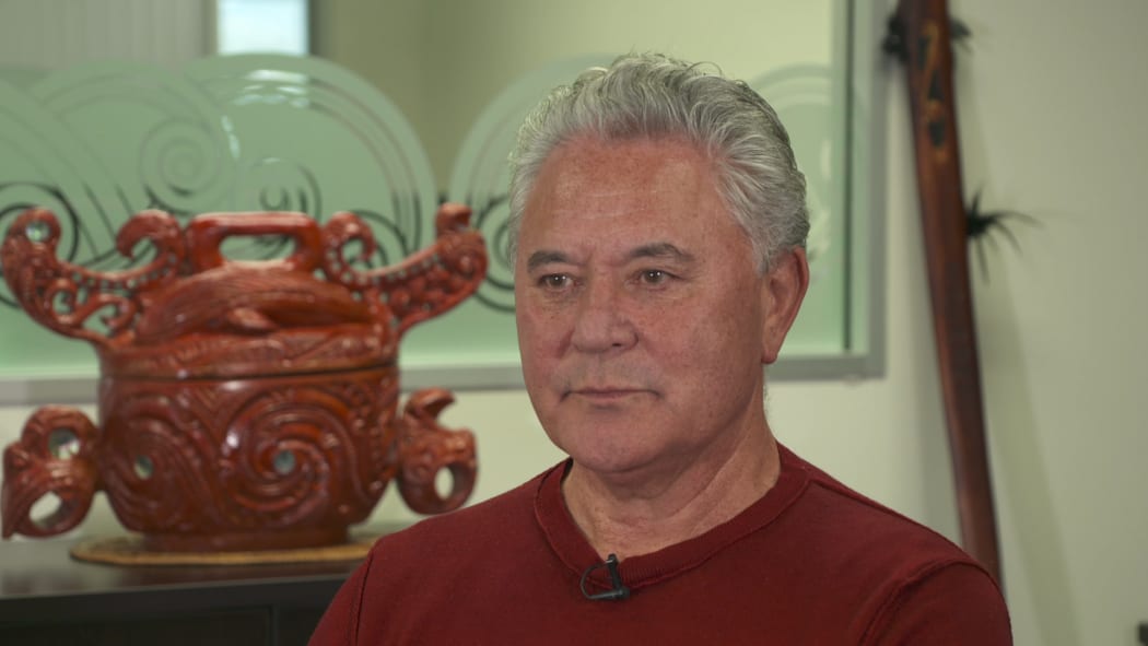 Co-leader of the Māori Party, John Tamihere.