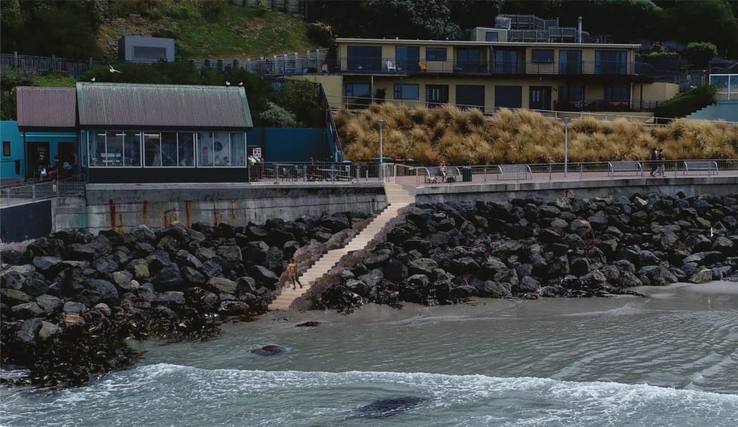Dunedin surfers get safer access to St Clair Beach - Vimarsana News