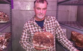 Hillcroft Mushrooms co-owner Bruce Mackinnon with some of his product.