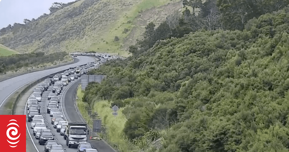 Motorists urged to be patient as roads clog up at end of Waitangi Day