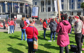 Primary care nurses strike for pay equity with DHB nurses.