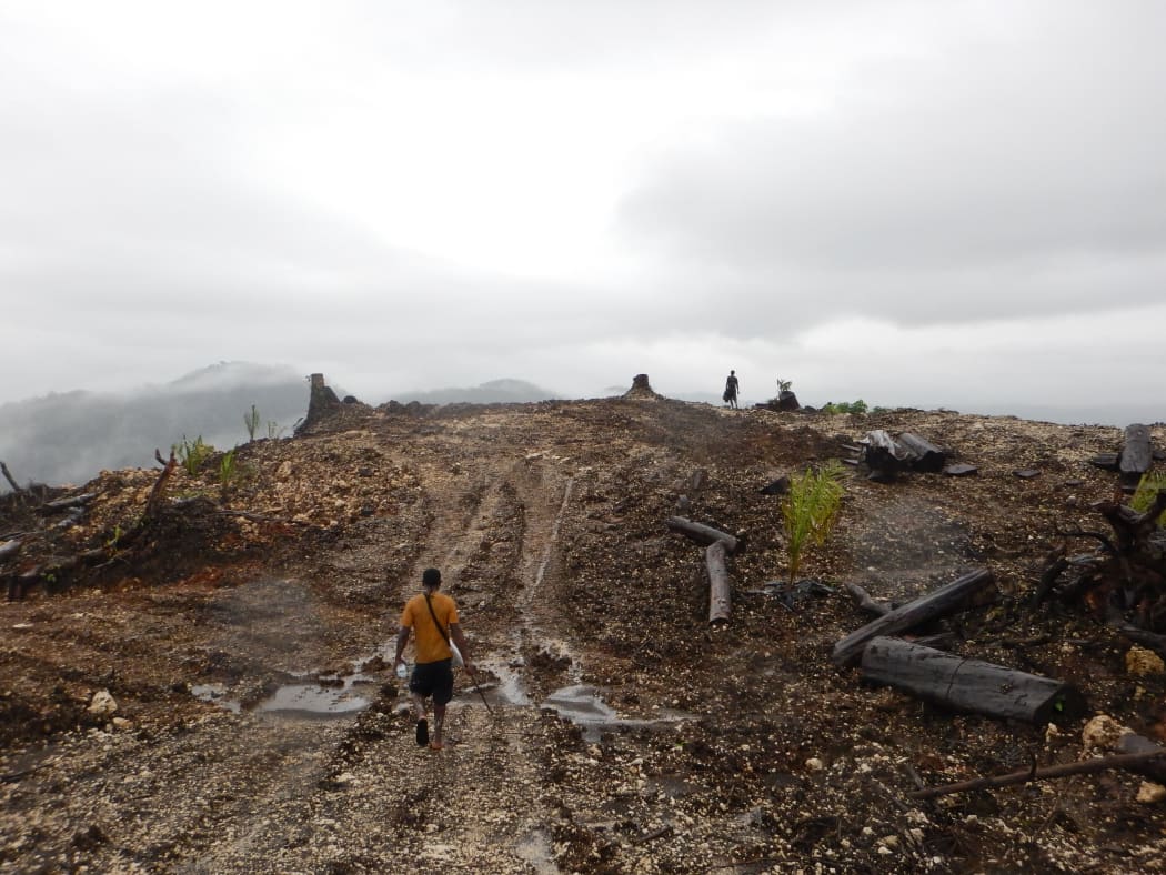 A logging area in Bairaman, East New Britain, PNG