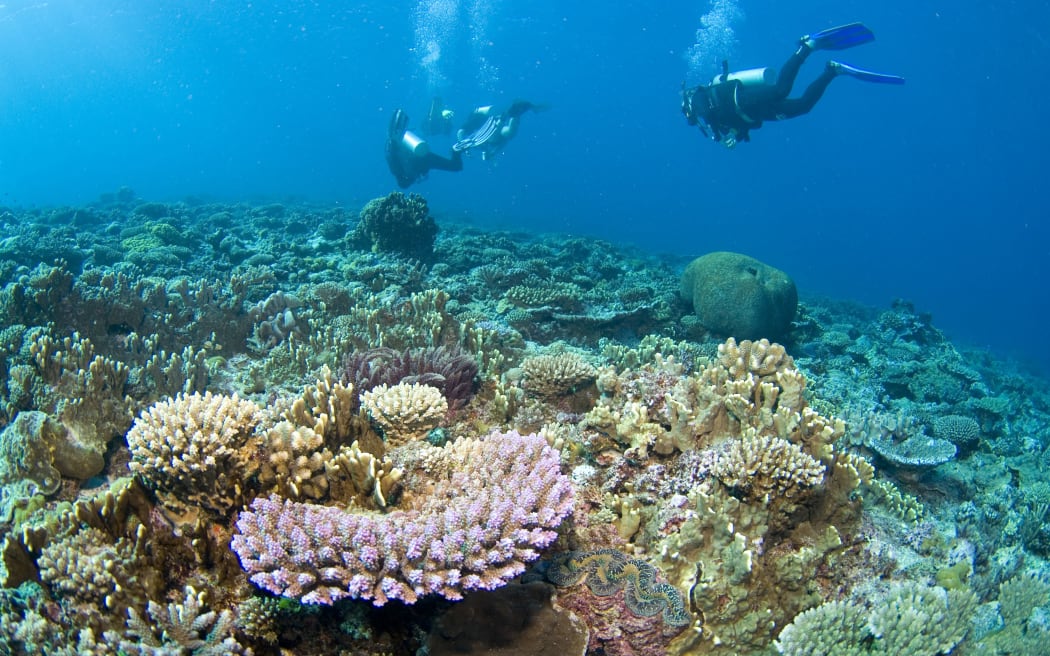 Divers on the Great Barrier Reef at Lady Elliot Island.