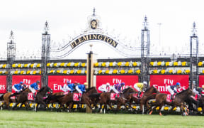 The 2016 Melbourne Cup field.
