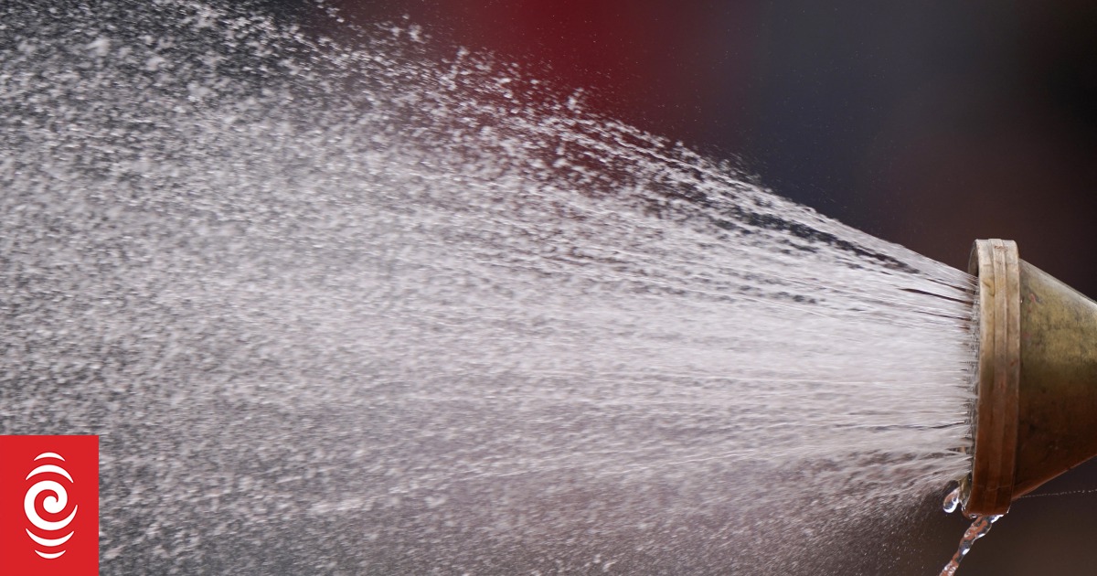 Watering plants myth debunked: 'If a plant needs water, water it' - Vimarsana News