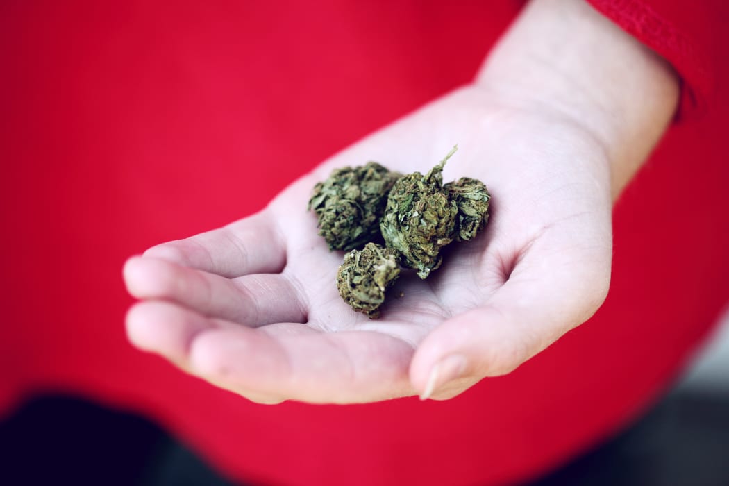 cannabis in hand