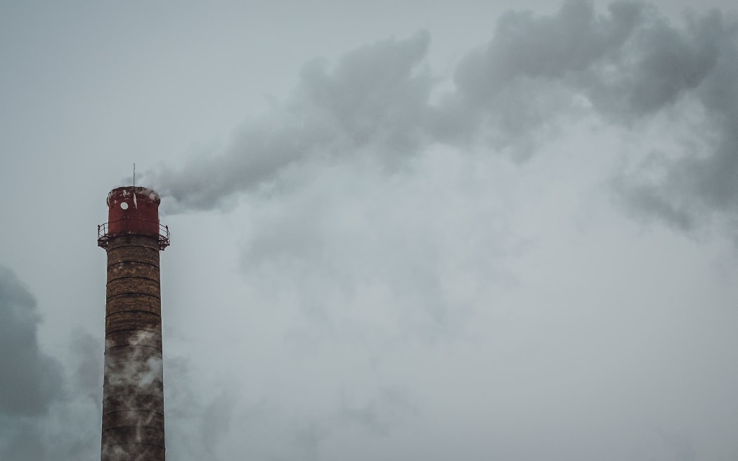 Carbon emissions have not yet peaked in many countries, the report says.
