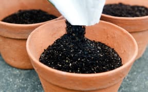 Inadequate labels on bags of potting mix may be leading to an increased number of cases of Legionnaires' disease in New Zealand.