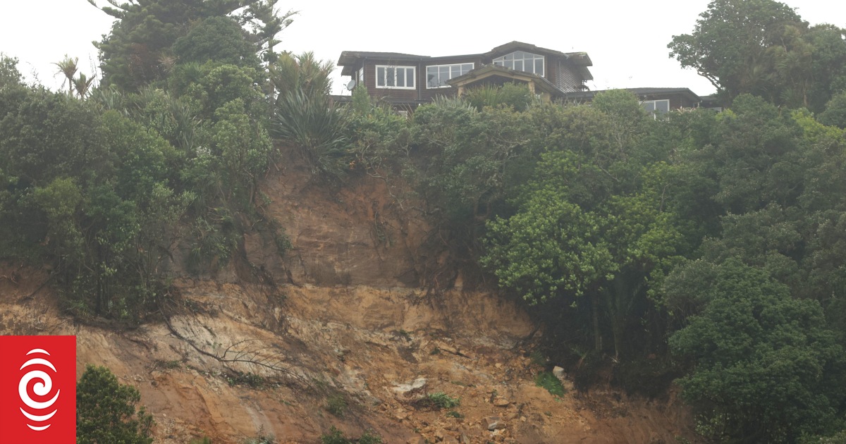 The Panel Muriwai residents RNZ