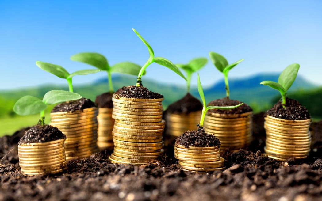 Business commentator Rebecca Stevenson Is it time to chuck the growth