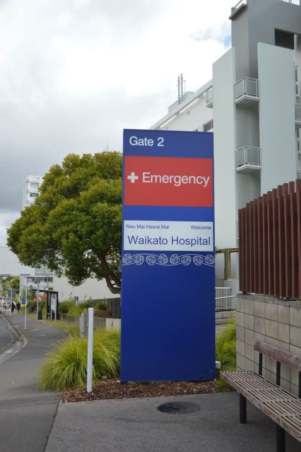 Waikato Hospital