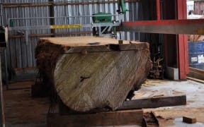 Kauri logs have been listed on the Chinese site Ali Baba.