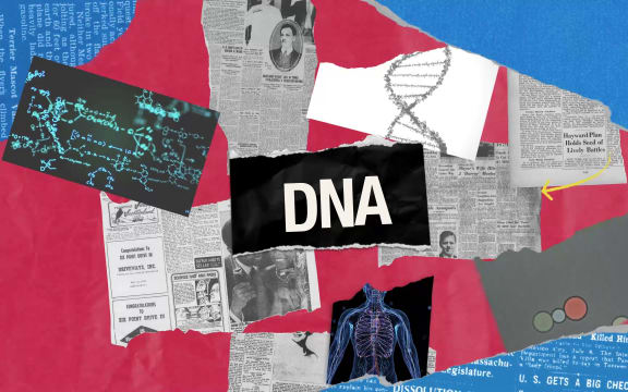 Title saying DNA, and images relating to DNA.