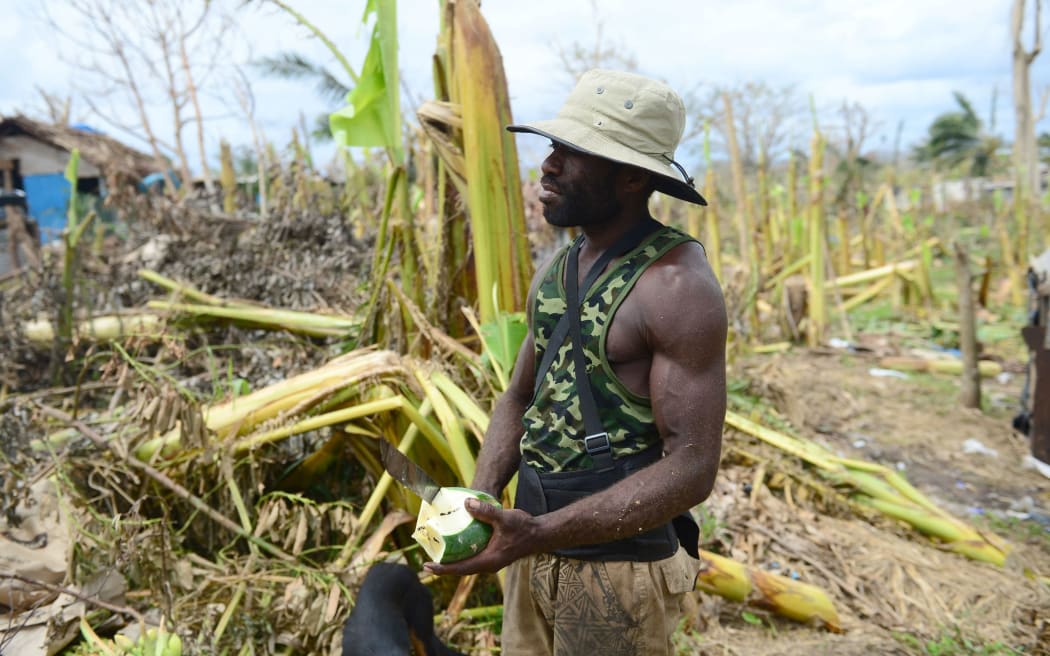 Locals harvest paw paw from fallen fruit trees in Mele, Vanuatu after Cyclone Pam