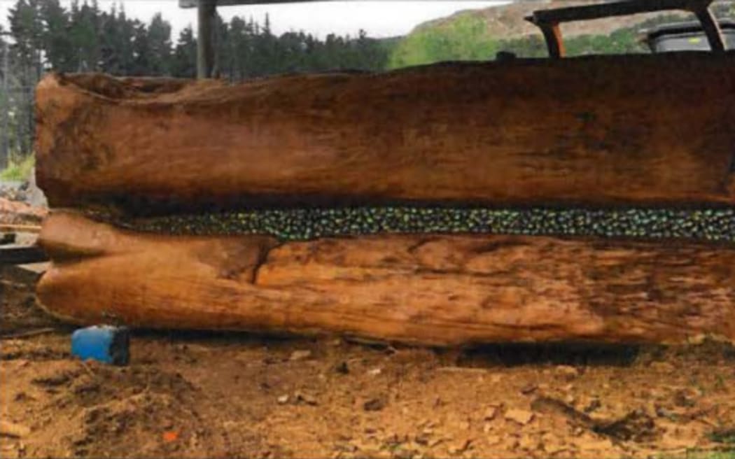 Kaihū kauri exporter Nelson Parker sent this log that had been dressed and decorated to China.