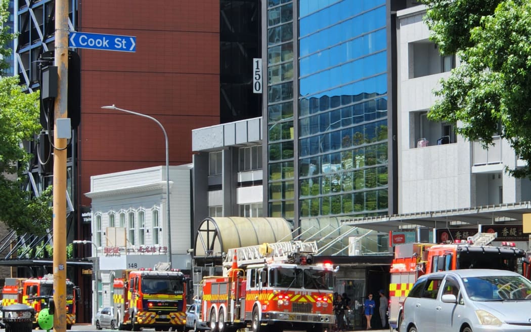 Police and firefighters were called to an alleged attempted car theft at a block of flats on Hobson Street in central Auckland on Sunday.  Police arrested a man at the scene and took him away.