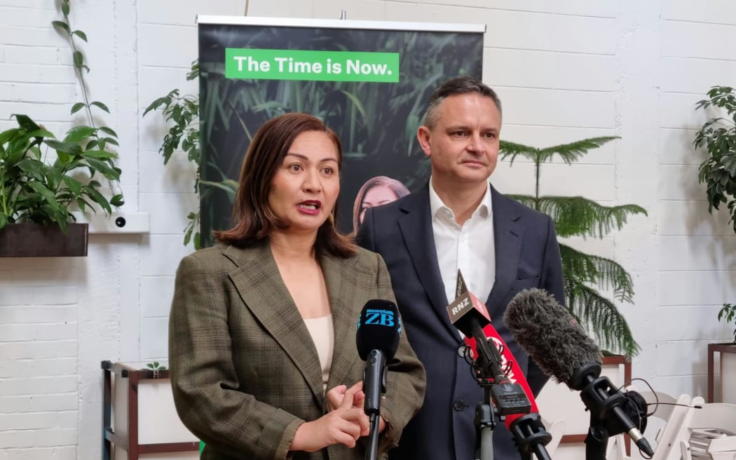 Green Party co-leaders Marama Davidson and James Shaw.