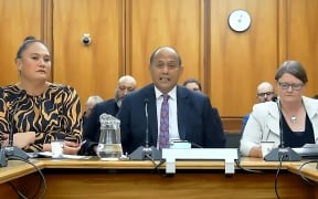 Broadcasting Minister Willie Jackson at the Social Services and Community Committee in Parliament on 22 June 2022.