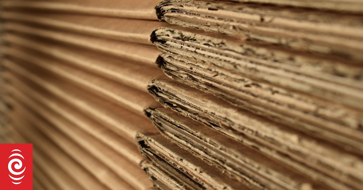 Mill CEO urging big business to switch to NZ-made cardboard - Vimarsana News