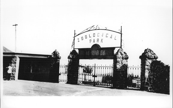 Auckland Zoological Park is ready to welcome visitors to the park in 1937.