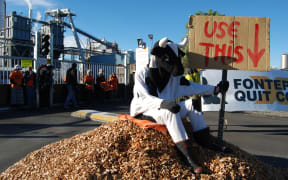 Protesters donned costumes at Fonterra's Clandeboye plant in South Canterbury.