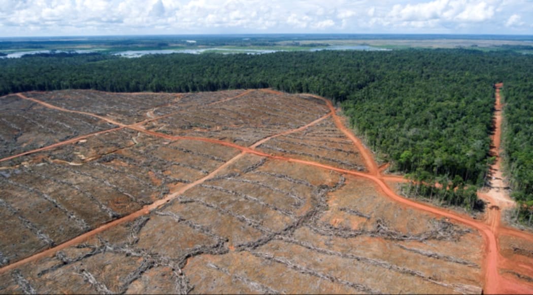 Deforestation in Indonesian-ruled West Papua.