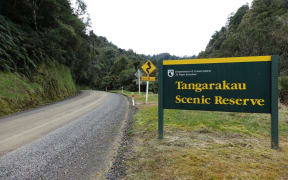 The beginning of the Tangarakau Gorge.