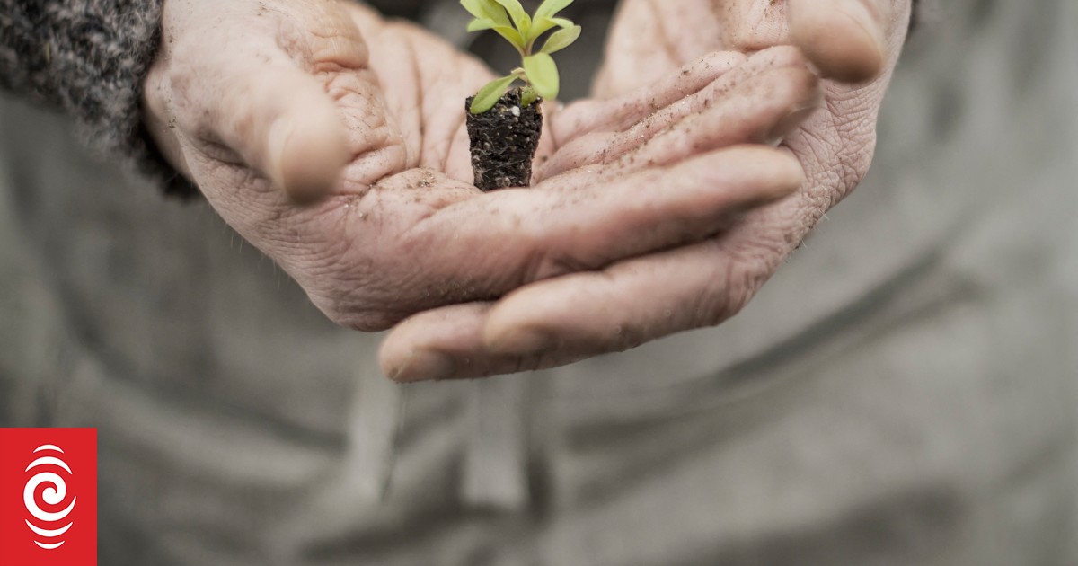 Nigel Latta: The changing face of intergenerational wealth