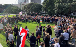 Hundreds of people have gathered outside Parliament in solidarity for those occupying Ihumātao.