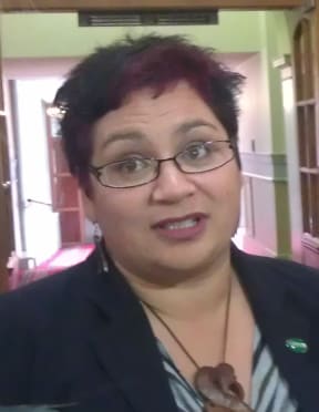 Metiria Turei questions the ethics of the deal.