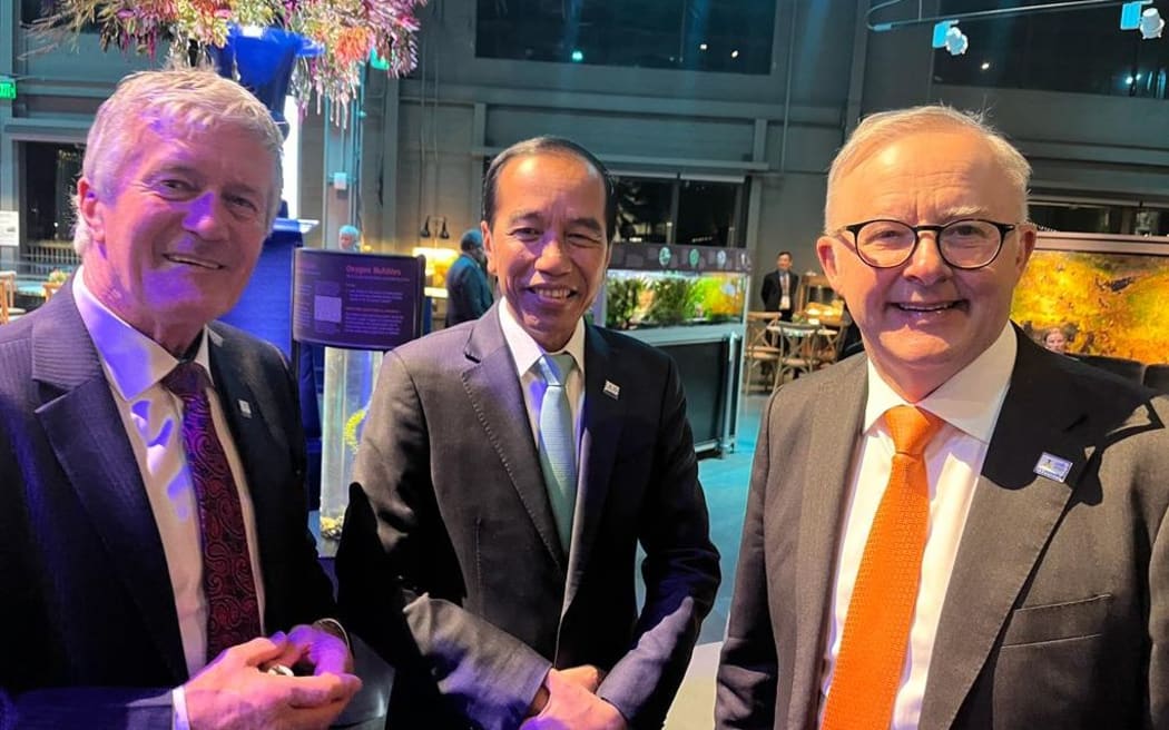 Outgoing Trade Minister Damien O'Connor, New Zealand's only representative at APEC, with Indonesian president Joko Widodo (centre) and Australian Prime Minister  Anthony Albanese.