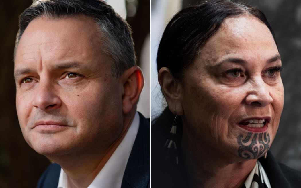 Green Party co-leader James Shaw and Te Pāti Māori co-leader Debbie Ngarewa-Packer.
