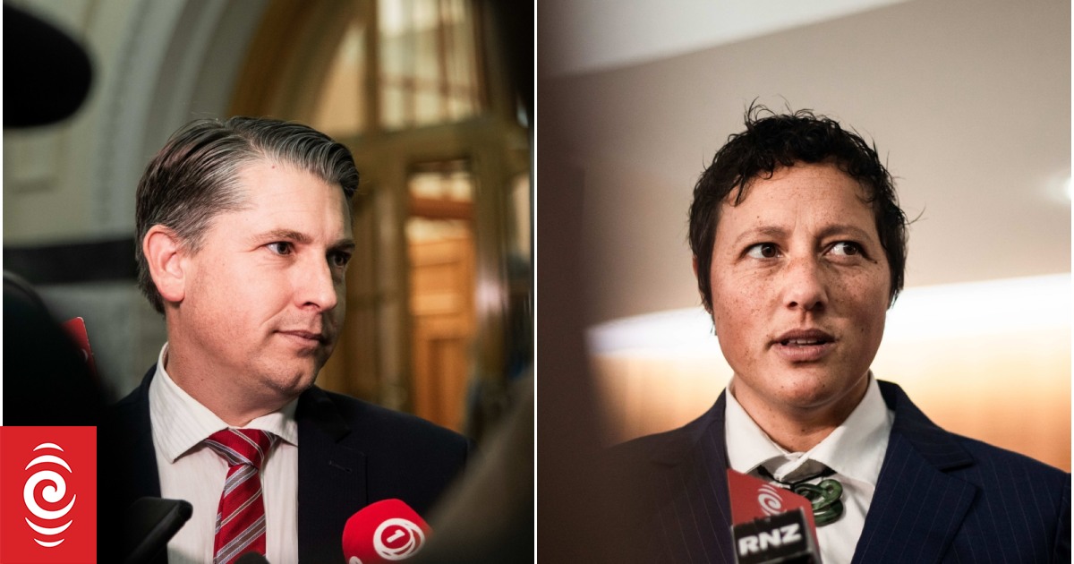 Michael Wood and Kiri Allan return to Parliament - Vimarsana News