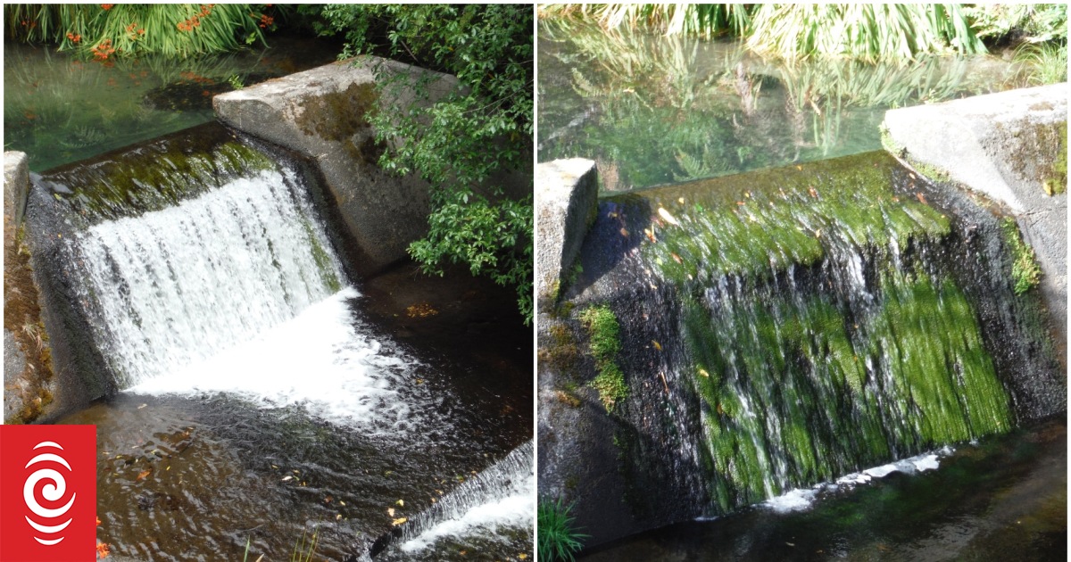 Tauranga water supply hits record low, hose ban possible RNZ News