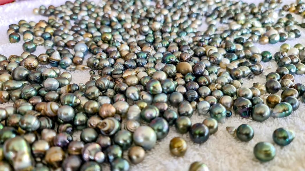 Cook Islands' pearl industry in peril RNZ News