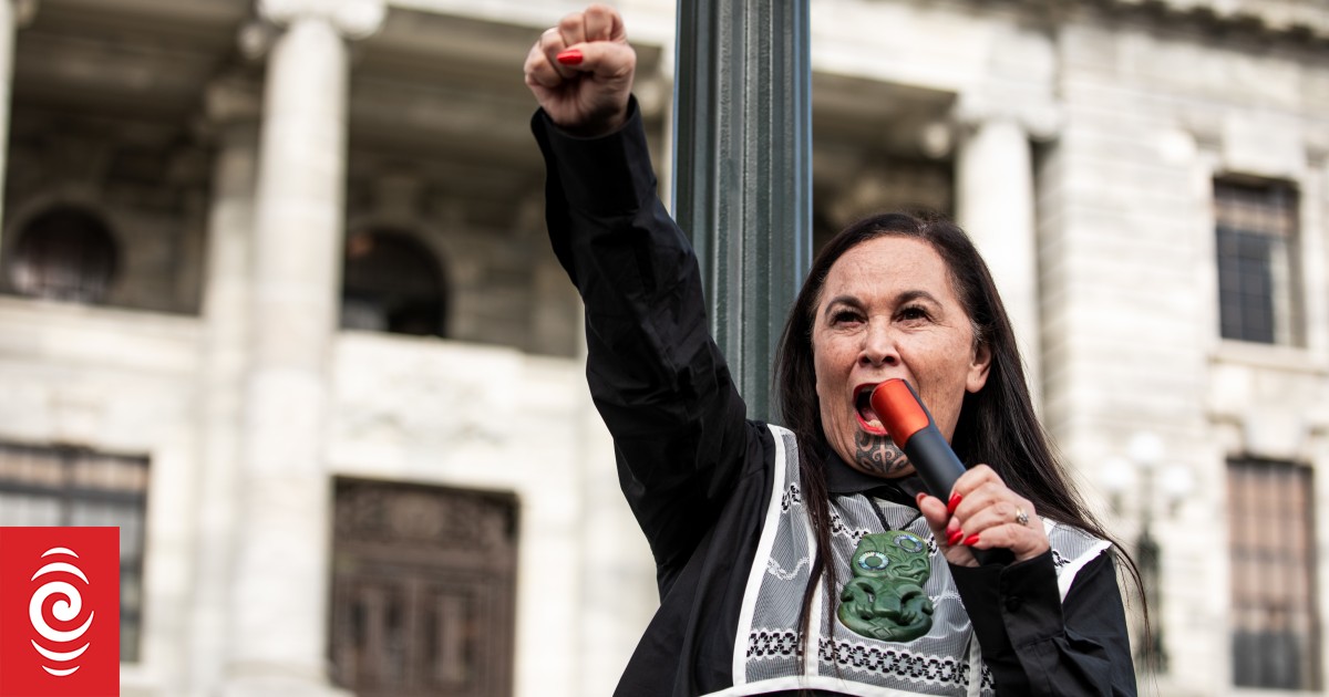 Protest action a stand against government insults to Māori - Te Pāti Māori co-leader Debbie Ngarewa-Packer - Vimarsana News