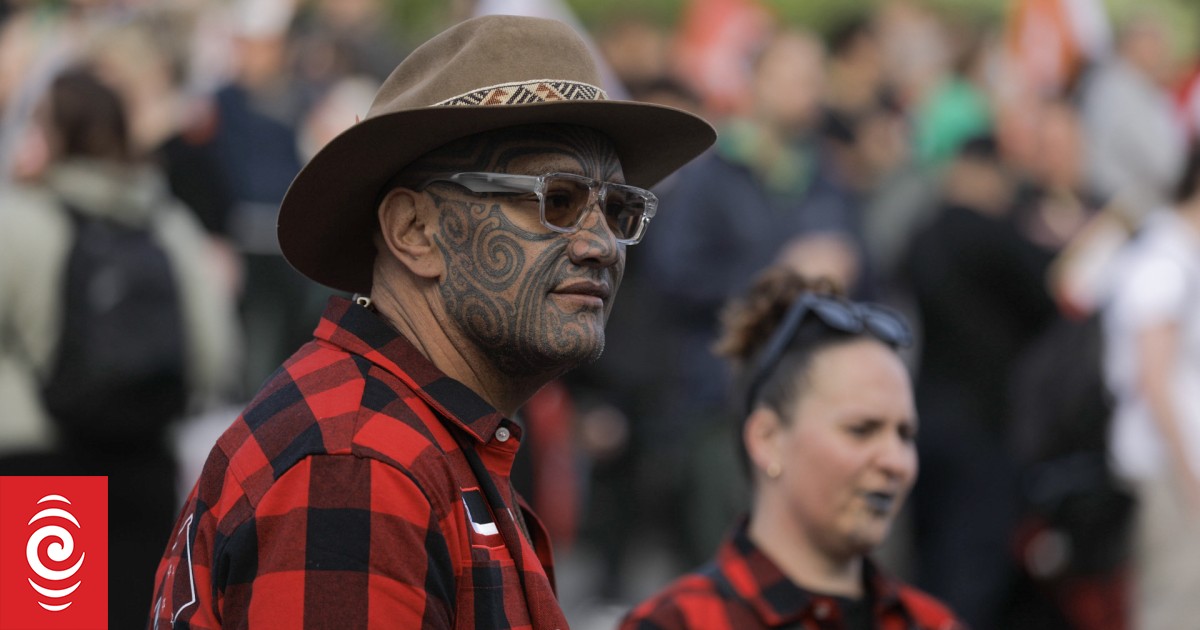 Government plans are a challenge to Treaty's existence - Rawiri Waititi - Vimarsana News