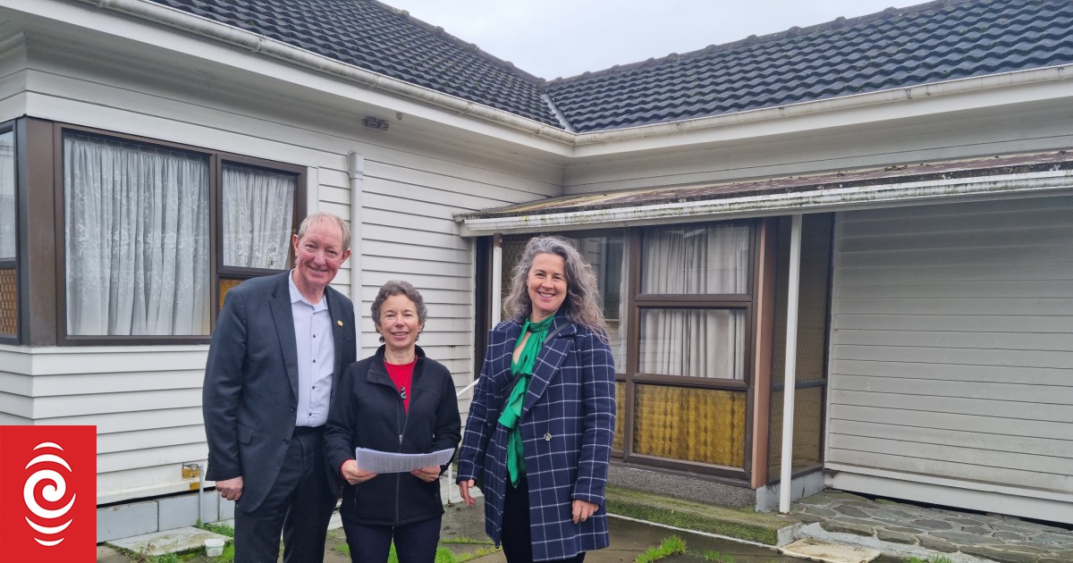 Affordable rental homes to be built in Nelson South after council grant - Vimarsana News