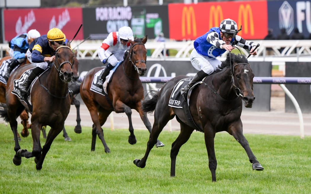 Gold Trip wins 162nd edition of the Melbourne Cup RNZ News