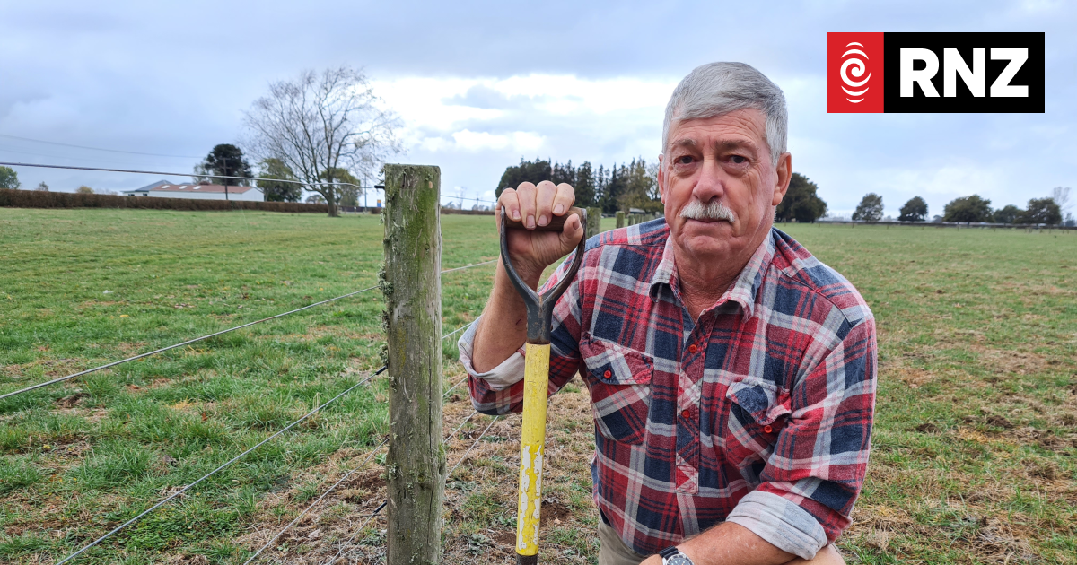 Farmer loses up to $80k after technician fails to artificially inseminate cows - Vimarsana News