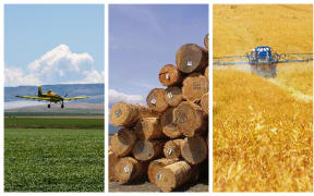 Bees exposed to pesticides show impaired visually guided behaviour