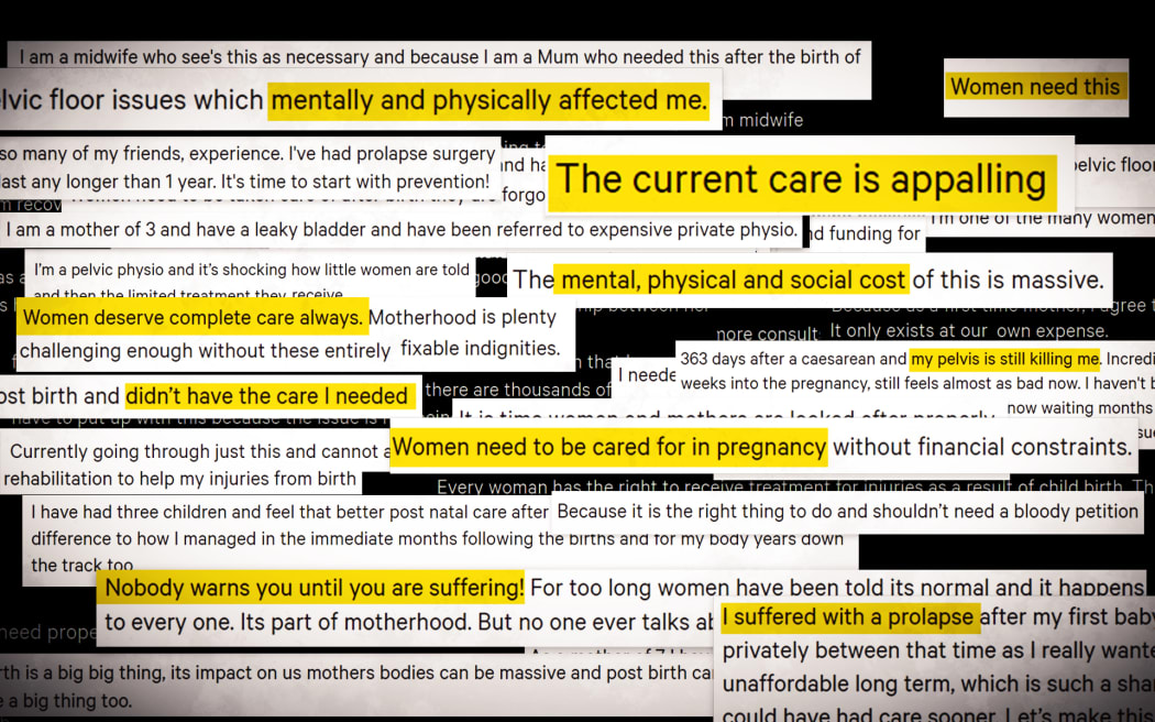 These are some of the thousands of comments people wrote when signing the petition which calls for improved rehabilitation care for New Zealand Women post-birth