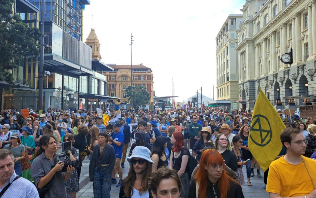 Protesters at the school climate strike in Auckland's CBD on 3 March, 2023.