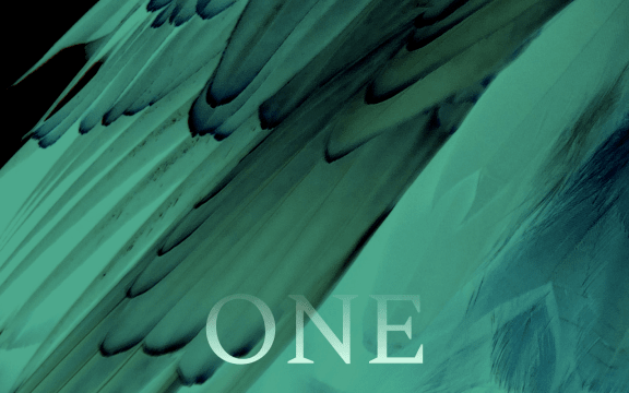 Ghostly sickly green feathers are reminiscent of churning water, the word "One" is imposed over the image.